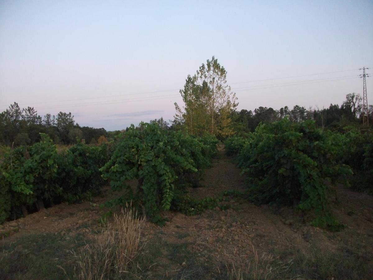 Casa Branca Villa Mealhada Esterno foto